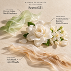 Maison Fragrance Scent 031: official olfactory notes.