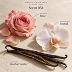 Maison Fragrance Scent 054: official olfactory notes.