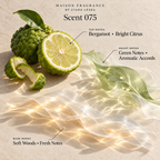 Maison Fragrance Scent 075: official olfactory notes.