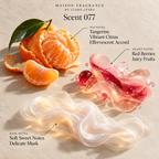 Maison Fragrance Scent 077: official olfactory notes.