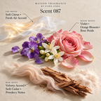 Maison Fragrance Scent 087: official olfactory notes.