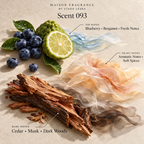 Maison Fragrance Scent 093: official olfactory notes.